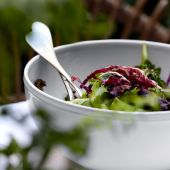 Чаша FRISO White, 24 ,5х24 ,5х11  ,5 см.,  Costa Nova, FIS241-WHT