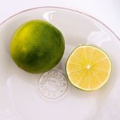 Тарелка  NOVA White, 16 , х16 , х  ,  см.,  Costa Nova, NOP161-WHT