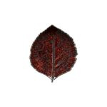 Блюдо RIVIERA VIGNE, 22 , х19 , х3 ,3 см.,  Costa Nova, VEP221-VGN